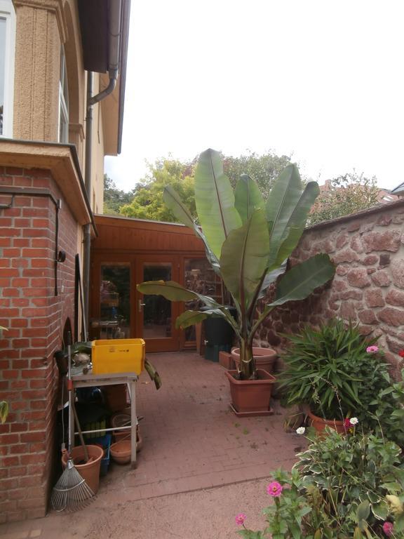 Ferienwohnung Saaleblick Halle  Exterior photo